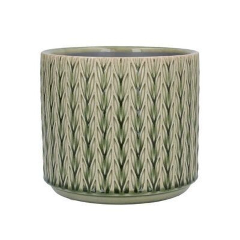 Green Staghorn Med Ceramic Pot Cover By Gisela Graham